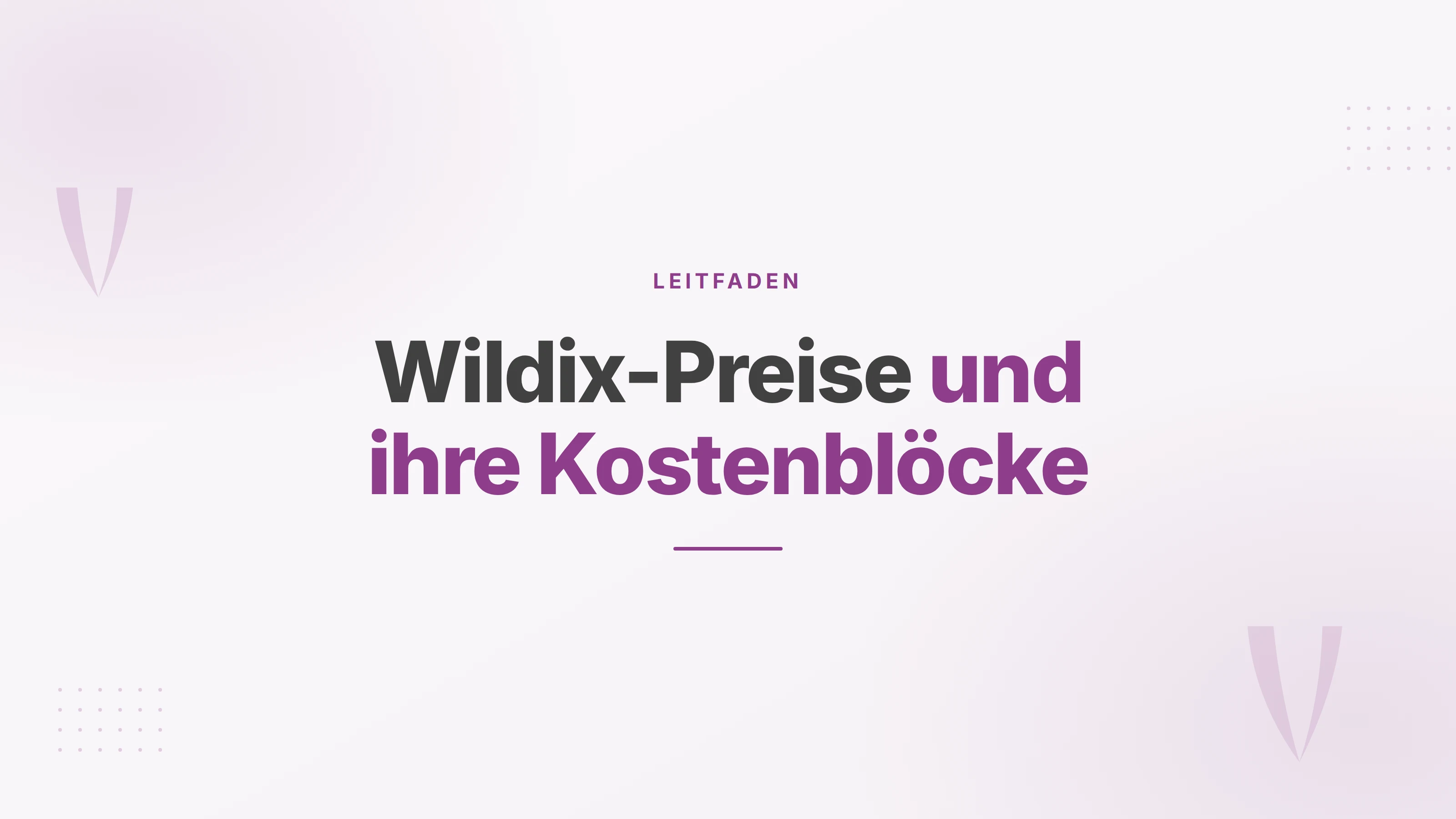 Titelbild mit dem Schriftzug Wildix-Preise und ihre Kostenblöcke