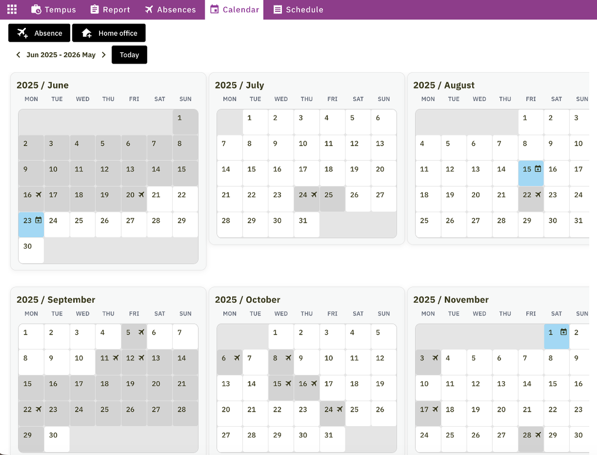 The Tempus year calendar, with absence days and public holidays marked month by month.